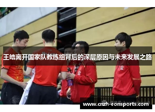 王皓离开国家队教练组背后的深层原因与未来发展之路
