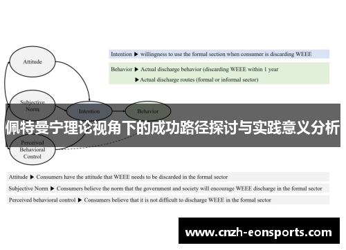 佩特曼宁理论视角下的成功路径探讨与实践意义分析
