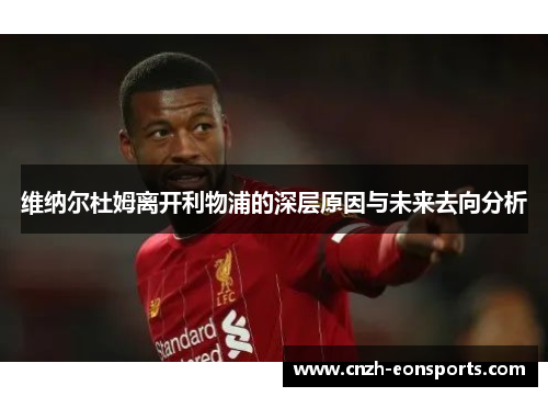 维纳尔杜姆离开利物浦的深层原因与未来去向分析